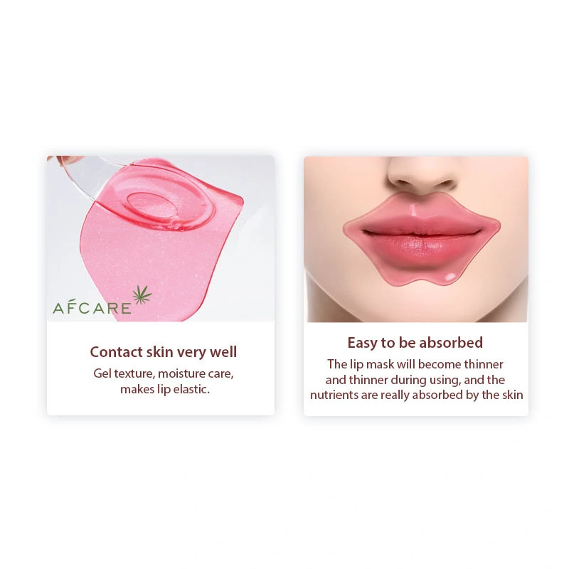 Moisture Lip Mask Wholesale Private Label Organic Lip Care Collagen Sleeping Lip Mask